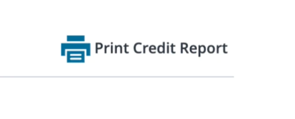 Close-up of the Print Credit Report icon